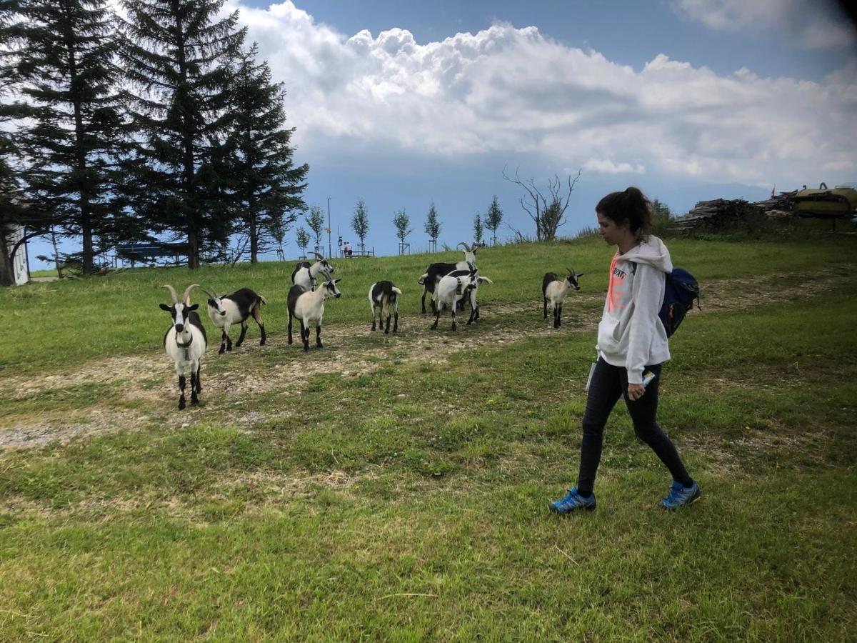Ferienwohnungen Mit 4 Betten In Gersau Direkt Am Vierwaldstaettersee Luaran gambar