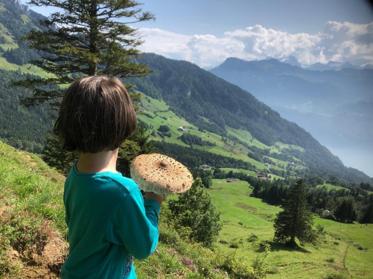 Ferienwohnungen Mit 4 Betten In Gersau Direkt Am Vierwaldstaettersee Luaran gambar