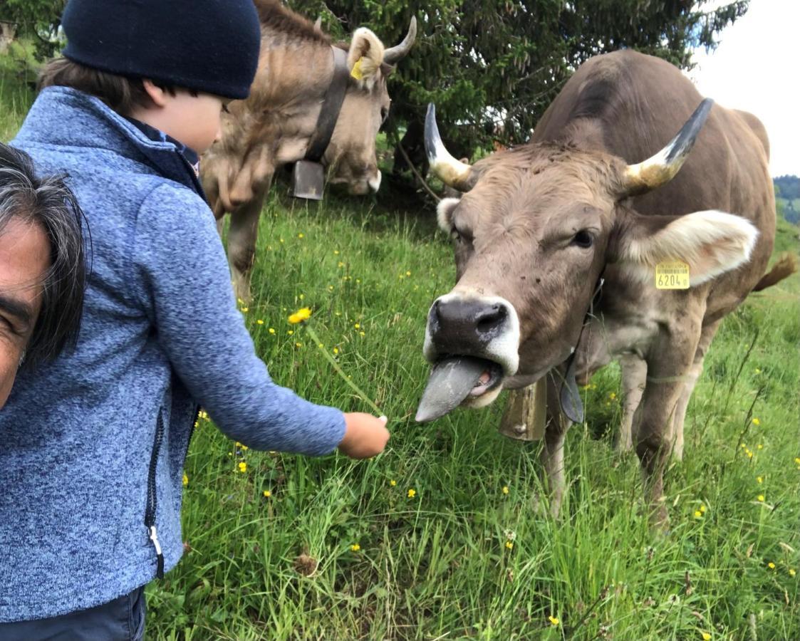 Ferienwohnungen Mit 4 Betten In Gersau Direkt Am Vierwaldstaettersee Luaran gambar